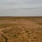 البيع مزرعة المساحة 200 الف السوم 200 الف