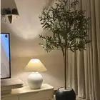 شجرة الزيتون