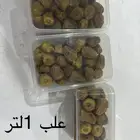 تمر