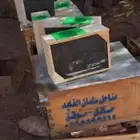 عسل بري عضوي من حائل