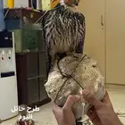 بكه للبيع