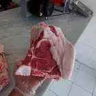 لحم قعود بلدي شرط و العمر لقي صغير من 30 ريال عرض