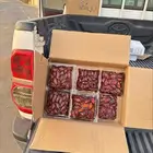 صفري بيشة اشعل