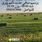 برسيم صافي شد 85-90