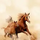 اسطبل خيول للايجار