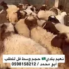 ذبائح بلديه ذبائحنا نعيم ونجدي وحري موقعنا الدمام ابو محمد