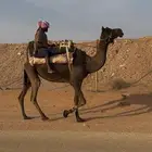 رحول