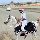 الطايف وادي ليه