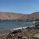 مطلوب في حقل ( بيت شعبي او ارض في حي السبخه )