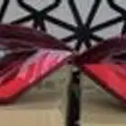 اسطبات كامري 2021-2024 مكحل جديد