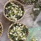 فل ورد الرياض