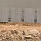 شينكو