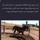 فرس واهو مواليد 2006 تحتها مهره