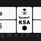 لوحة خصوصي
