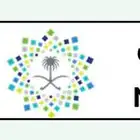 لوحة ى و ن 300 خصوصي البيع 25000