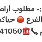 مطلوب أراضي للبيع في وادي الفرع وأبيار الماشي