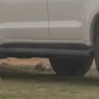 جنوط افجي 16 للبدل