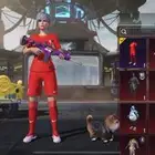 حساب ببجي 250