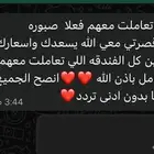 فندقه قطط الطائف