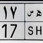 لوحة مميزة 117