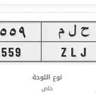 لوحة خصوصي ( ح ل م )