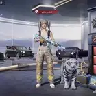 حساب ببجي مرتب