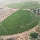 تصوير درون احترافي