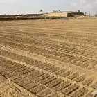 مقاول حفر وردم