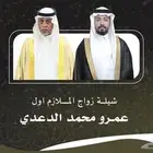 شيلات