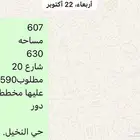 ارض للبيع حي النخيل