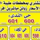 مكتب نبيع ونشتري في طيبة الفرعية جوهرة العروس الهجرة