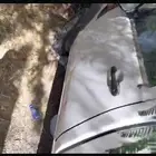 فورد رينجر