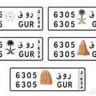 لوحة مميزه لقبيلة الروقه
