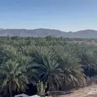 مزرعة للبيع بحي الصادقية تبعد عن الحرم 16 كيلو