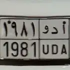 لوحه 1981