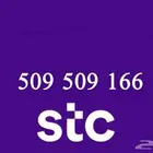 رقم مميز يرمز قبيلة الشرارات 509509 مكرر والنق