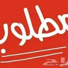 مدينة الورود