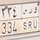 لوحة 334