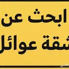مطلوب شقة عوايل عرسان