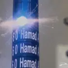 حجول طيور