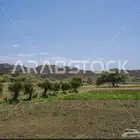 من لديه مزرعه للإيجار في بني سعد