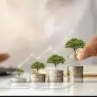 مشروع او شراكه.