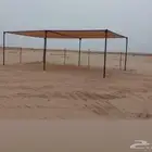 مظلات الابل