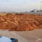 رمل احمر الجله تربه زراعيه دفان ميده صبيز ازفلت مقشور بطحى