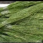 مرخ وسلع حجر مضبي طازج