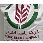 بذور باسفيك كاف 101 الأمريكي الأصلي