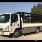 دينا دنه مع العمال والفك والتركيب