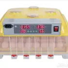فقاسة 56 بيضه