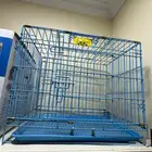 شبك قطه اغراض قطط