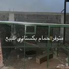 حمام باكستاني والشبك للبيع